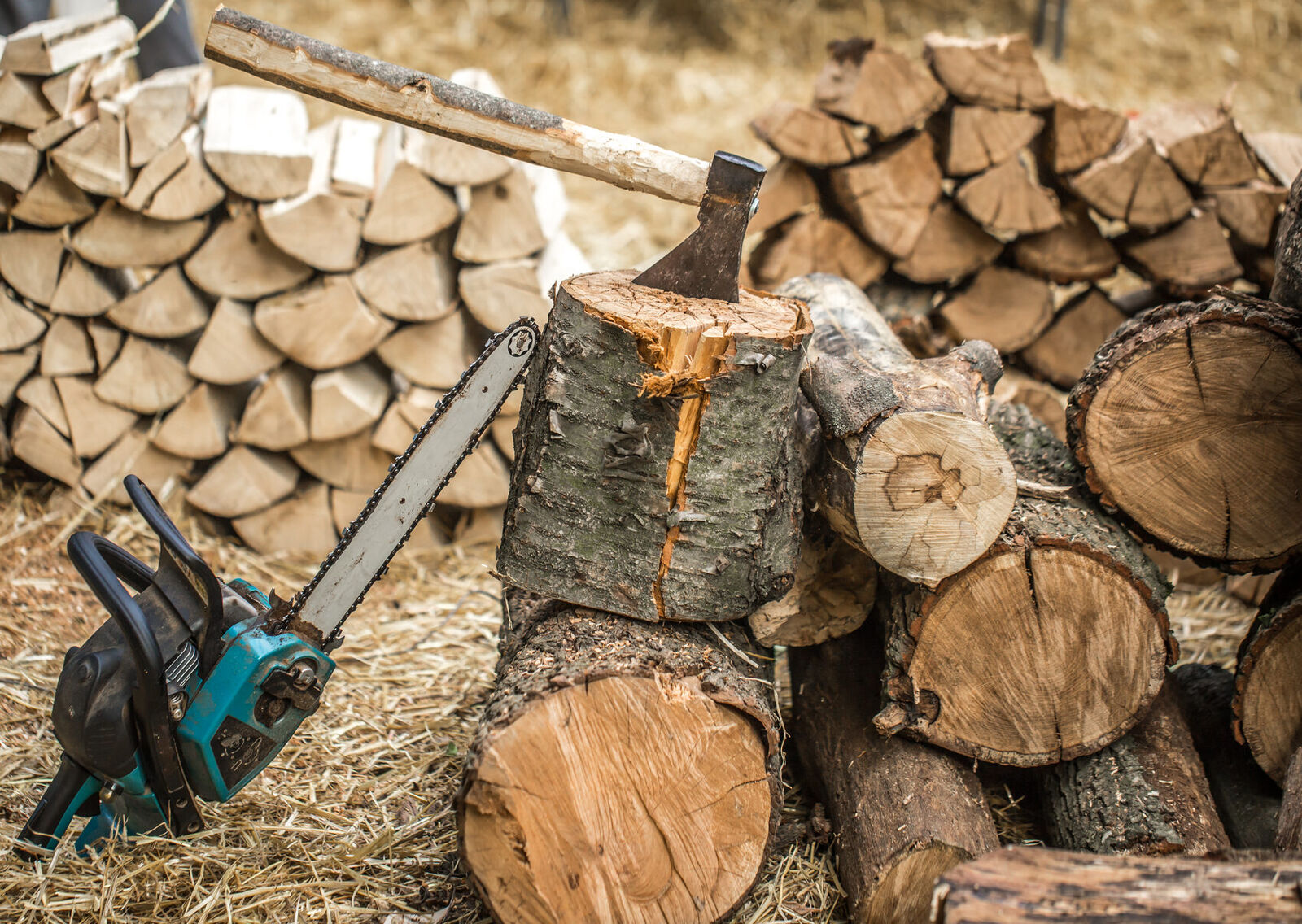 Wood chips and organic material from stump grinding, mulch or removed