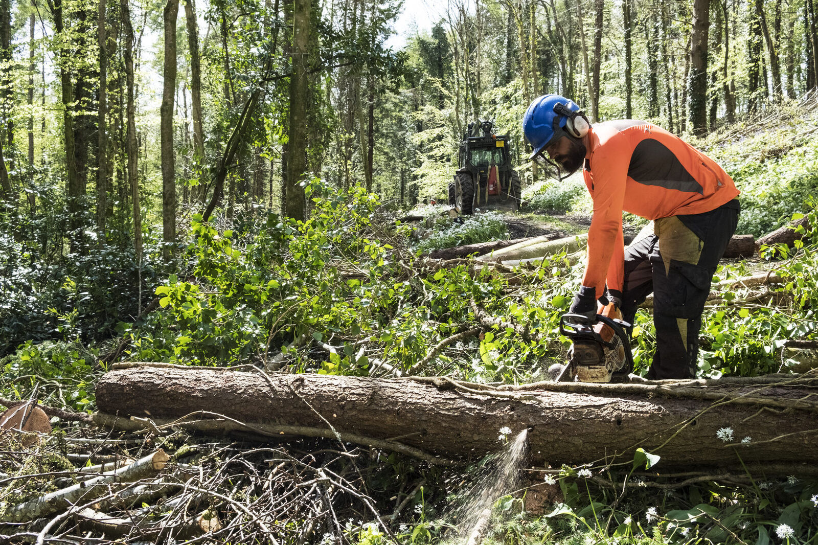 Tree felling and tree care in Fourways